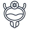 bexiga