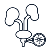 prostata