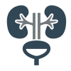 urologia